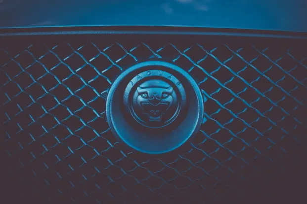 Cleopatra Casino App Android/iOS